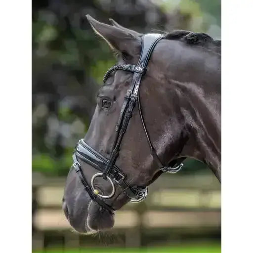 Lemieux Kudos Patent Dressage Bridle Black-Flash Bridles-Lemieux-Pony-Black-Horsey Shopping