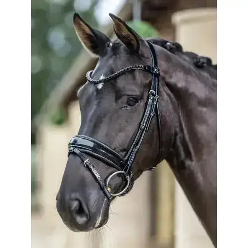 Lemieux Kudos Patent Dressage Bridle Black-Flash Bridles-Lemieux-Pony-Black-Horsey Shopping
