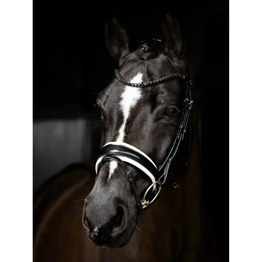 Lemieux Kudos Patent Dressage Bridle Black/White-Bridles-Lemieux-Pony-Black/White-Horsey Shopping