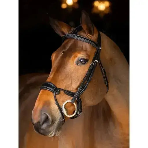 Lemieux Kudos Patent Dressage Bridle Brown-Bridles-Lemieux-Pony-Brown-Horsey Shopping