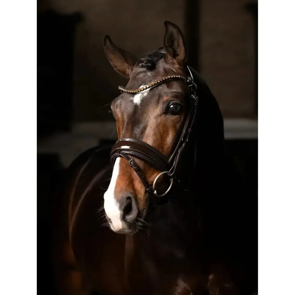 Lemieux Kudos Patent Dressage Bridle Brown-Bridles-Lemieux-Pony-Brown-Horsey Shopping