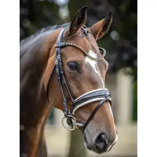 Lemieux Kudos Patent Dressage Bridle Brown/White-Bridles-Lemieux-Pony-Brown/White-Horsey Shopping