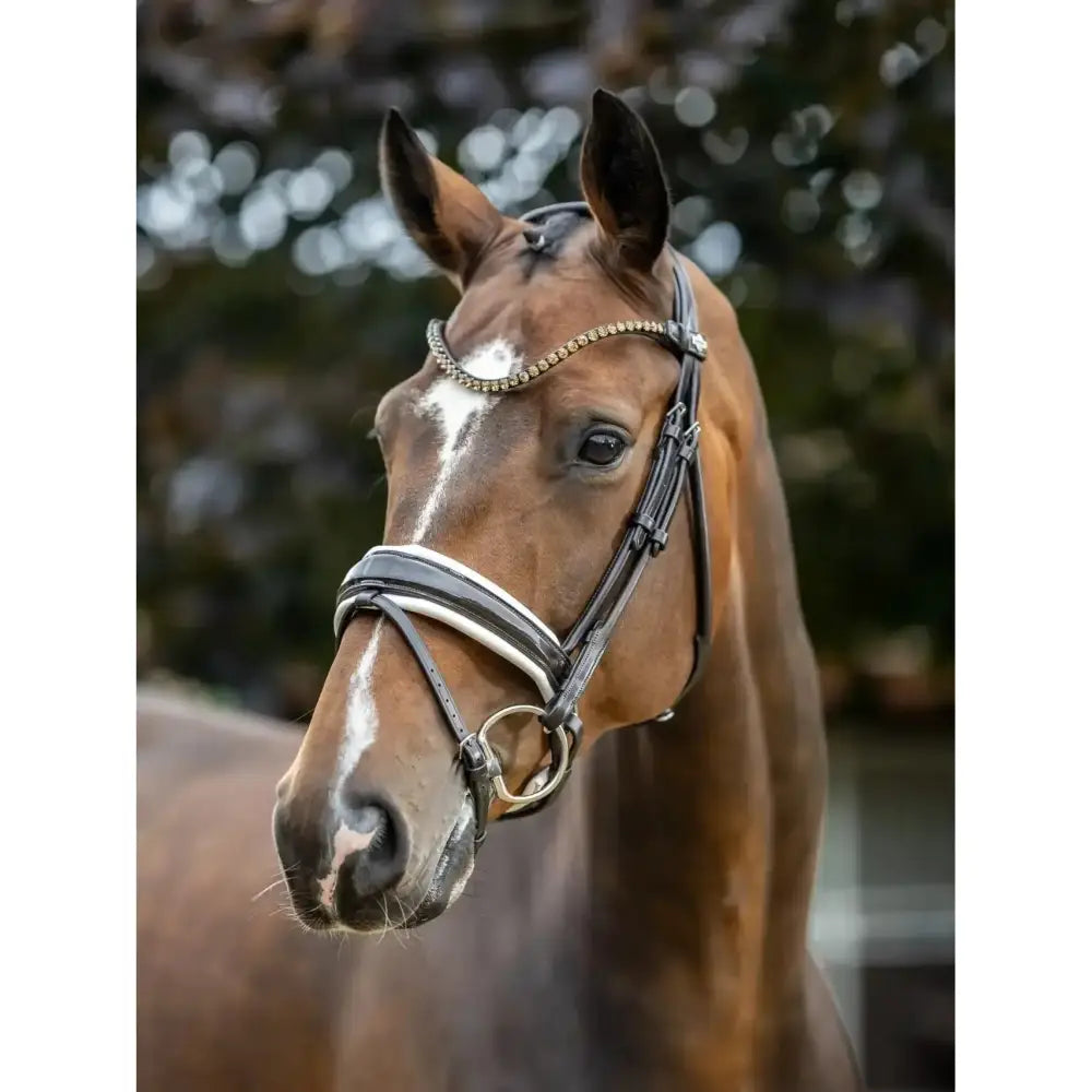Lemieux Kudos Patent Dressage Bridle Brown/White-Bridles-Lemieux-Pony-Brown/White-Horsey Shopping