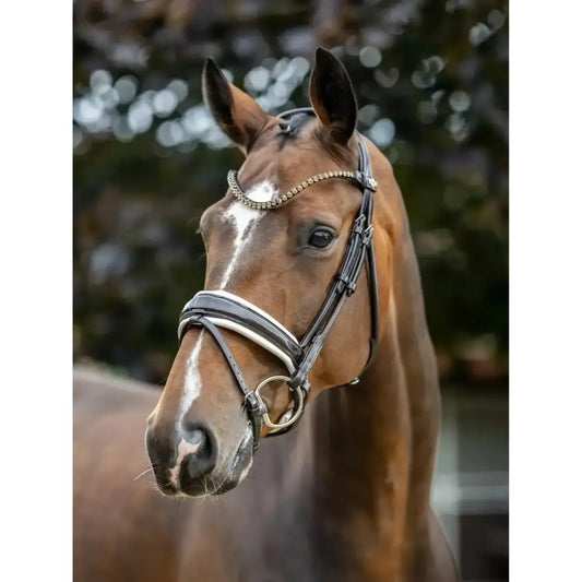 Lemieux Kudos Patent Dressage Bridle Brown/White-Bridles-Lemieux-Pony-Brown/White-Horsey Shopping