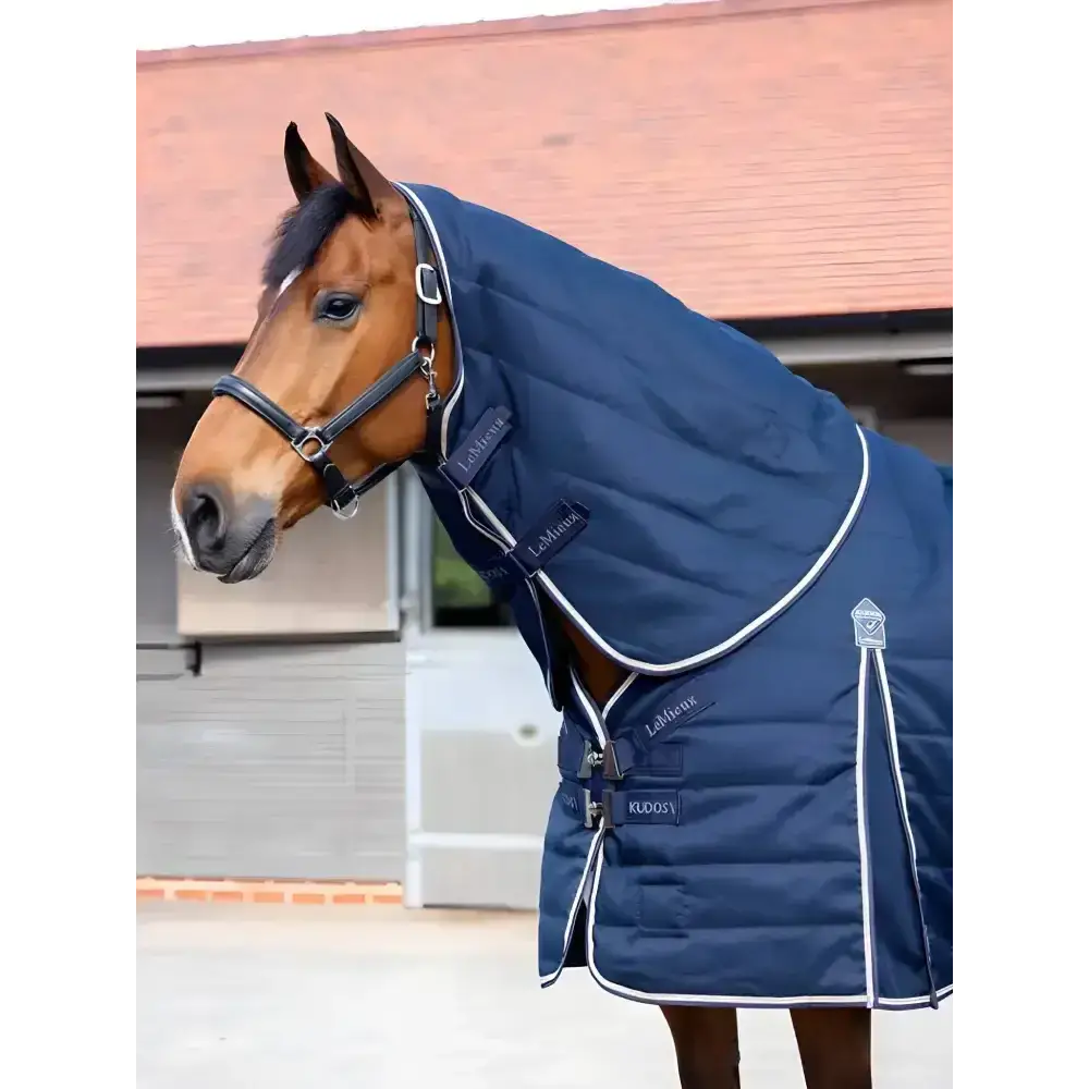 Lemieux Kudos Stable Neck Cover 100g Navy Small Navy Stable Rugs