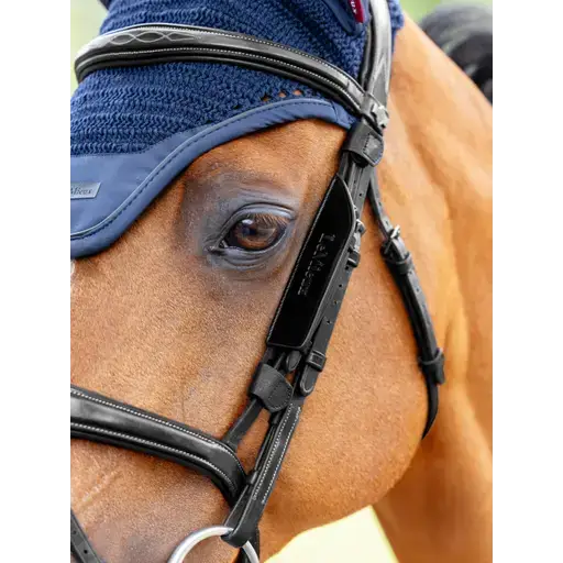 Lemieux Leather Bridle Blinkers Black-Horse Blinkers-Lemieux-Black-Cob-Horsey Shopping
