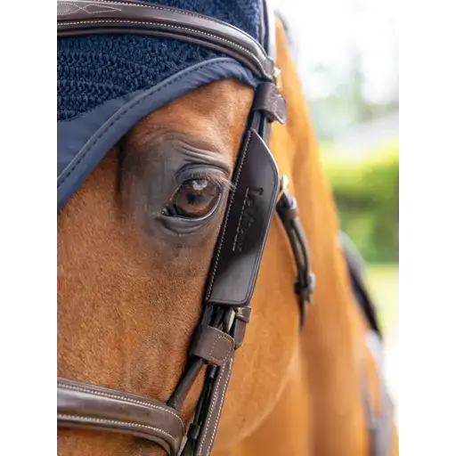 Lemieux Leather Bridle Blinkers Havanna-Horse Blinkers-Lemieux-Havana-Cob-Horsey Shopping