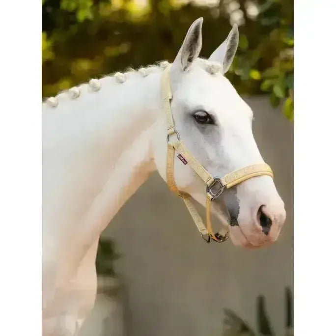 Lemieux Logo Headcollar Mimosa-Headcollars-Lemieux-Mimosa-Pony-Horsey Shopping