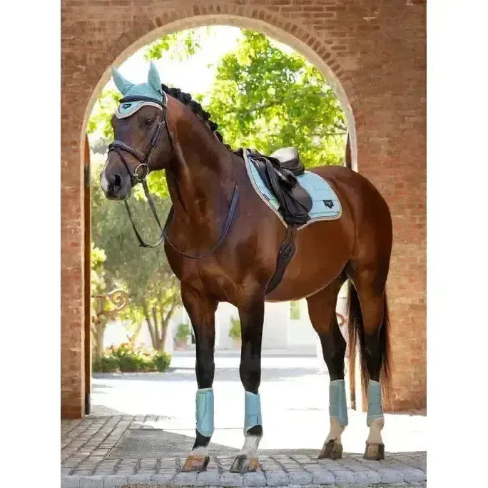 Lemieux Loire Classic Close Contact Square Aqua-Saddle Pads-Lemieux-Aqua-Large-Horsey Shopping