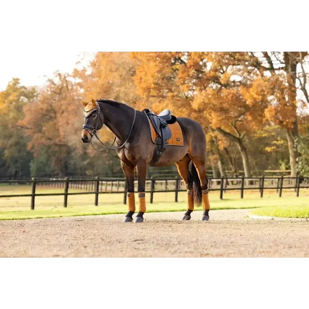 Lemieux Loire Classic Dressage Square Ginger-Dressage Saddle Pads-Lemieux-Small/Medium-Ginger-Horsey Shopping