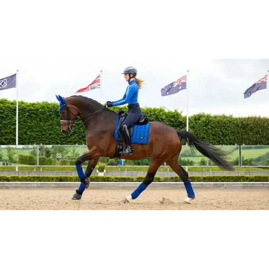 Lemieux Loire Dressage Square Benetton-Dressage Saddle Pads-Lemieux-Small/Medium-Benetton-Horsey Shopping