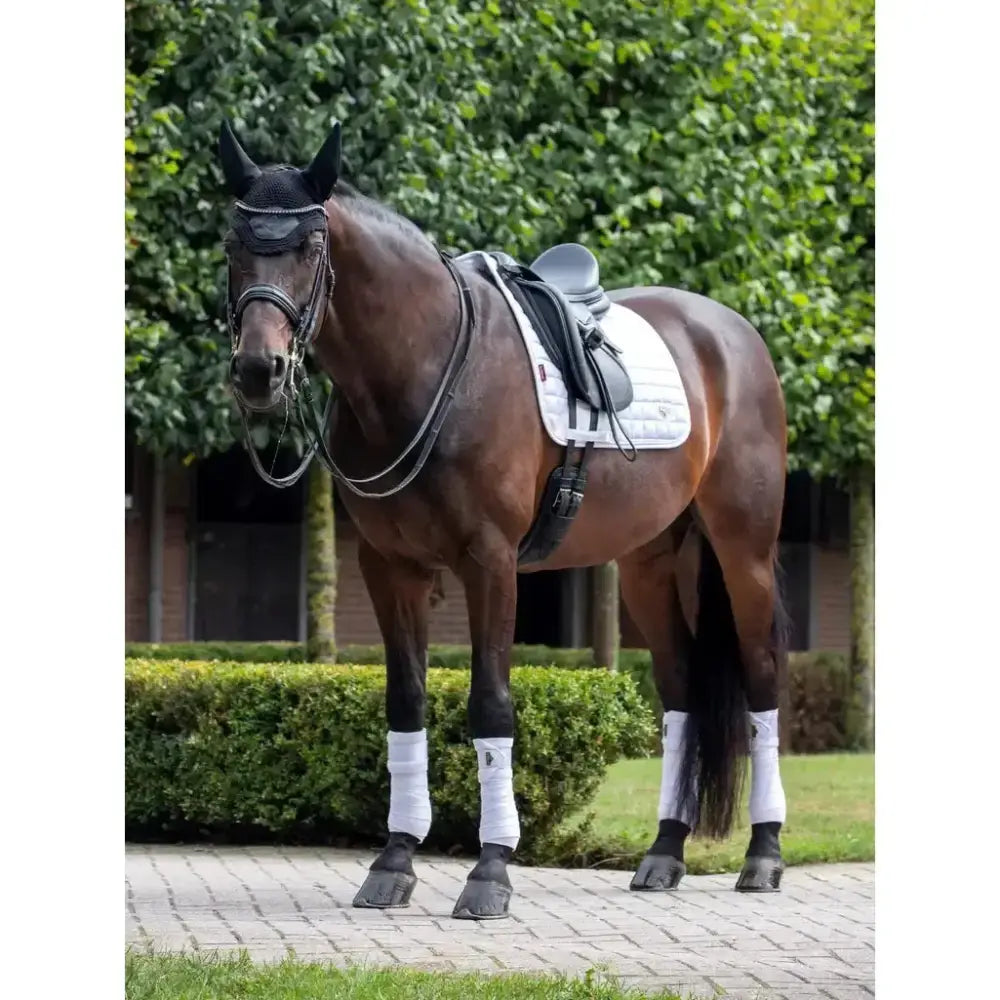 Lemieux Loire Dressage Square White-Dressage Saddle Pads-Lemieux-Small/Medium-White-Horsey Shopping