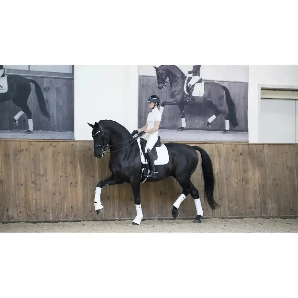 Lemieux Loire Dressage Square White-Dressage Saddle Pads-Lemieux-Small/Medium-White-Horsey Shopping