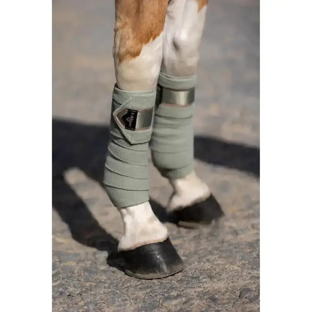 Lemieux Loire Polo Bandages Fern-Leg Bandages-Lemieux-Pony-Horsey Shopping