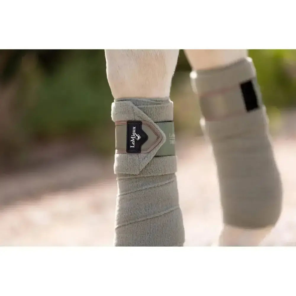 Lemieux Loire Polo Bandages Fern-Leg Bandages-Lemieux-Pony-Horsey Shopping