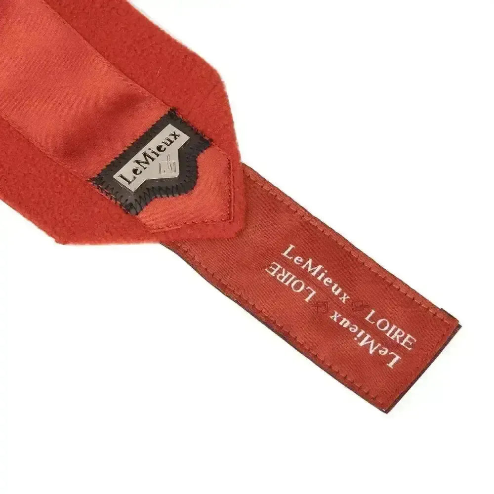 Lemieux Loire Satin Polo Bandages Set of 4 Sienna-Leg Bandages-Lemieux-Full-Horsey Shopping