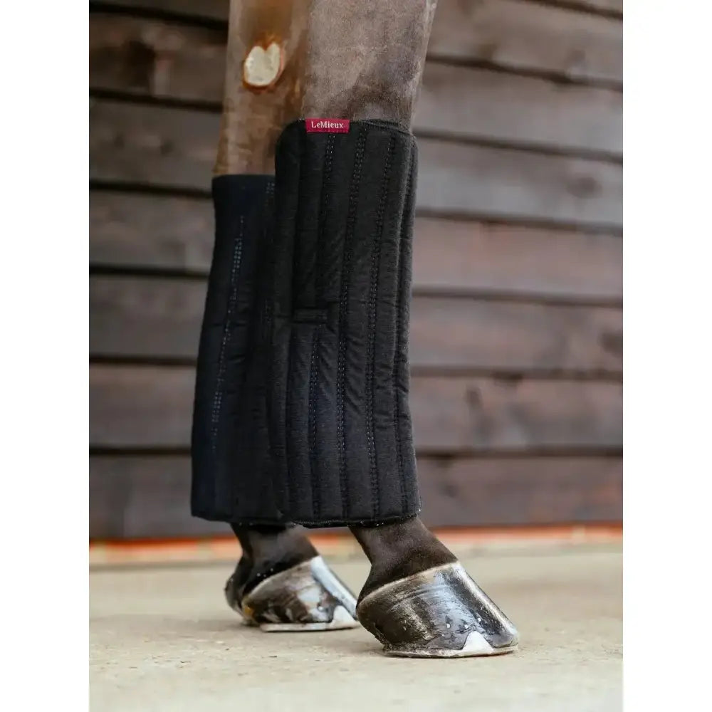 Lemieux Memory Foam Bandage Pads Black-Leg Pads-Lemieux-Small-Black-Horsey Shopping