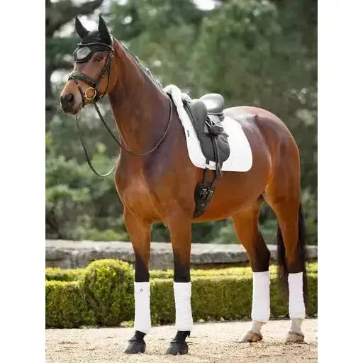 Lemieux Merino+ Half Lined Dressage Square White/Natural-Dressage Saddle Pads-Lemieux-Medium-White/Natural-Horsey Shopping