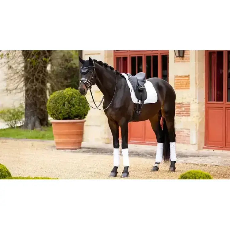 Lemieux Merino+ Half Lined Dressage Square White/White-Dressage Saddle Pads-Lemieux-Medium-White/White-Horsey Shopping