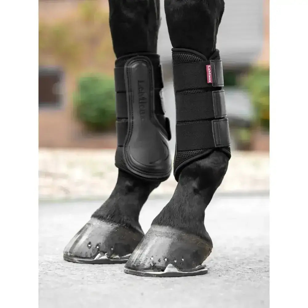 Lemieux Mesh Brushing Boot Black-Brushing Boots-Lemieux-Small-Black-Horsey Shopping