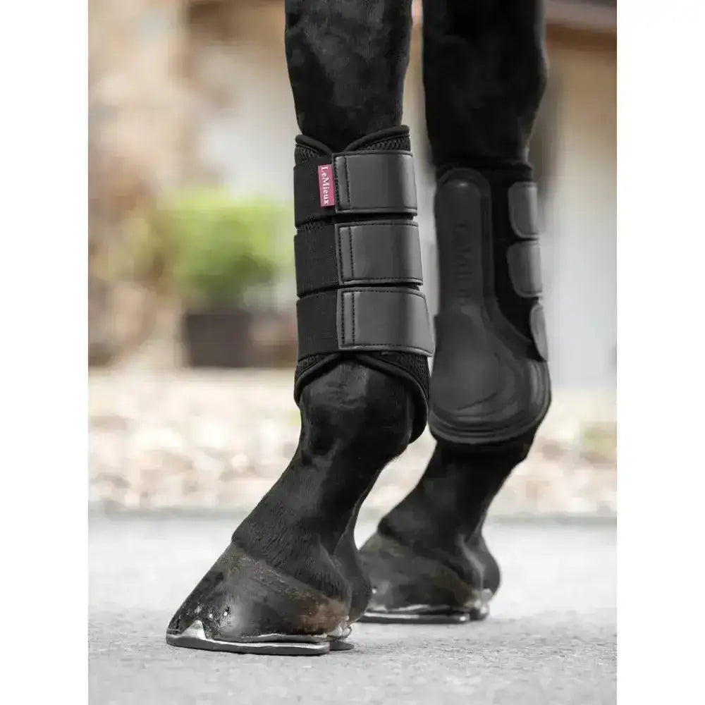Lemieux Mesh Brushing Boot Black-Brushing Boots-Lemieux-Small-Black-Horsey Shopping