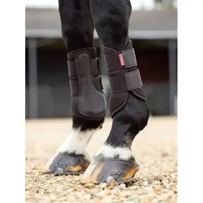 Lemieux Mesh Brushing Boot Brown-Brushing Boots-Lemieux-Small-Brown-Horsey Shopping