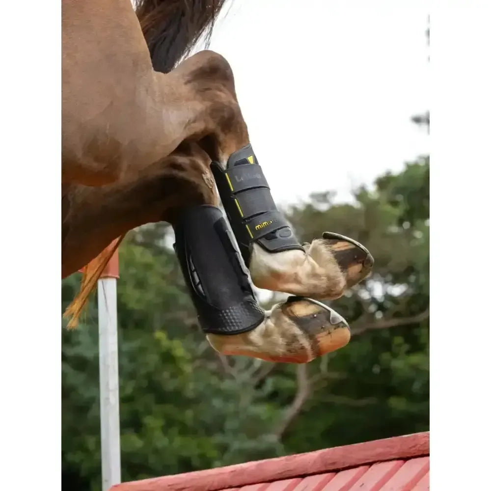 Lemieux MIMsafe XC Boot Hind Black-Horse Boots-Lemieux-Black-Small-Horsey Shopping