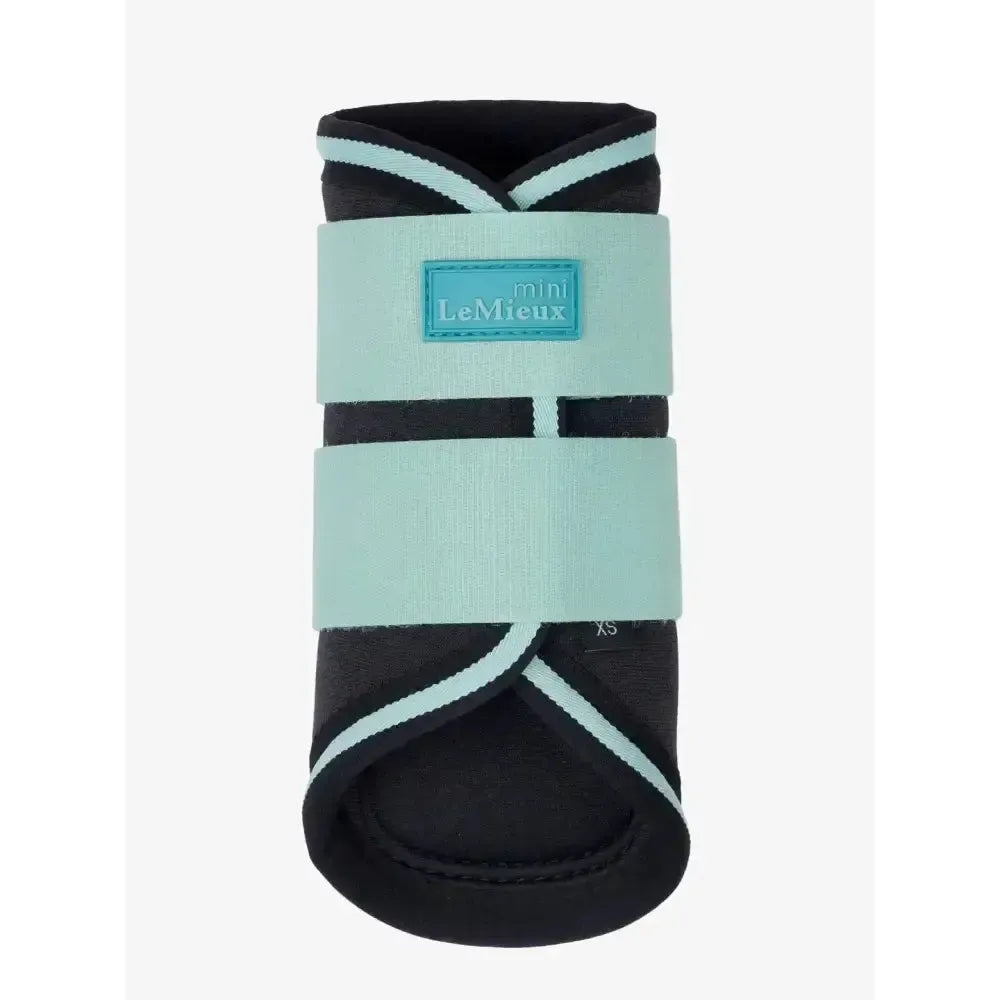 Lemieux Mini Brushing Boots Aqua-Brushing Boots-Lemieux-Aqua-Mini-Horsey Shopping