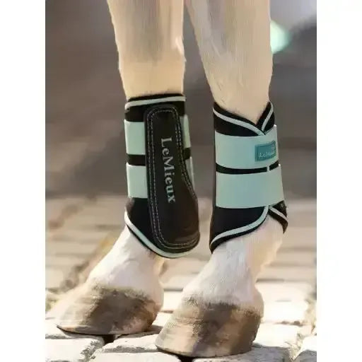 Lemieux Mini Brushing Boots Aqua-Brushing Boots-Lemieux-Aqua-Mini-Horsey Shopping