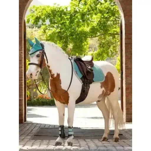 Lemieux Mini Brushing Boots Aqua-Brushing Boots-Lemieux-Aqua-Mini-Horsey Shopping