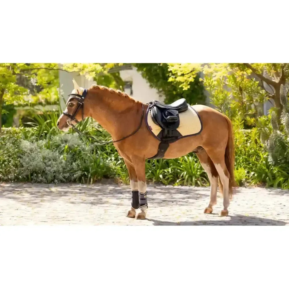 Lemieux Mini Suede Close Contact Square Mimosa-Saddle Pads-Lemieux-Mimosa-X-Small-Horsey Shopping