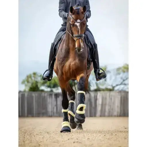 Lemieux Motionflex Dressage Boot with Fleece Edge Black/Natural-Brushing Boots-Lemieux-Medium-Black/Natural-Horsey Shopping