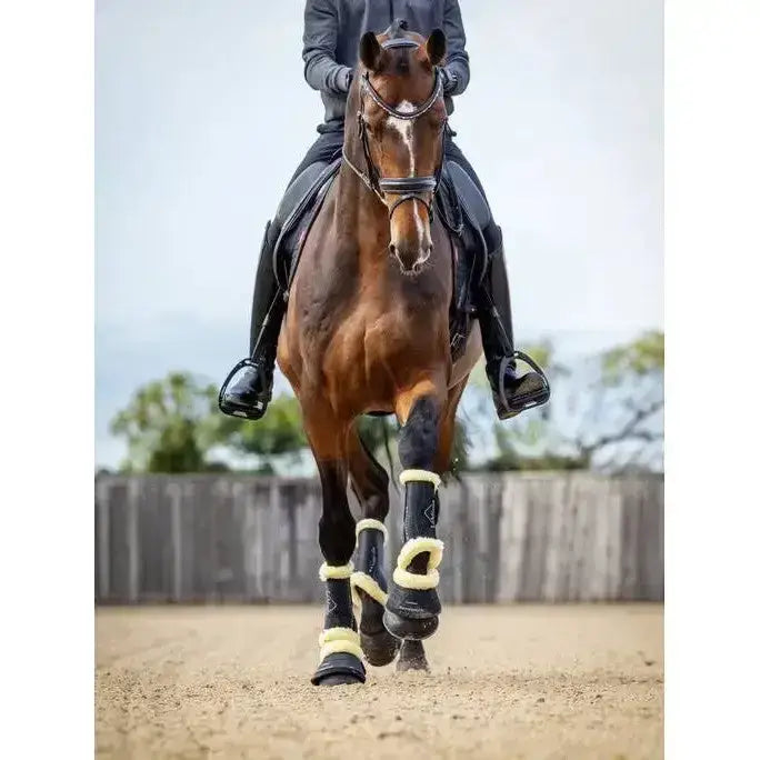 Lemieux Motionflex Over Reach Boot with Fleece Edge Black/Natural-Over Reach Boots-Lemieux-Small-Black/Natural-Horsey Shopping