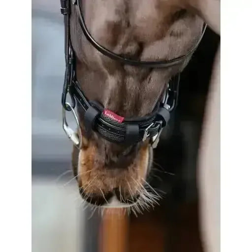 Lemieux Noseband Pad Black-Noseband Covers-Lemieux-Black-One Size-Horsey Shopping