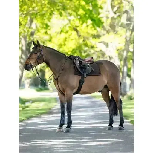 Lemieux Pillow Pad Brown-Saddle Pads-Lemieux-Brown-Small/Medium-Horsey Shopping
