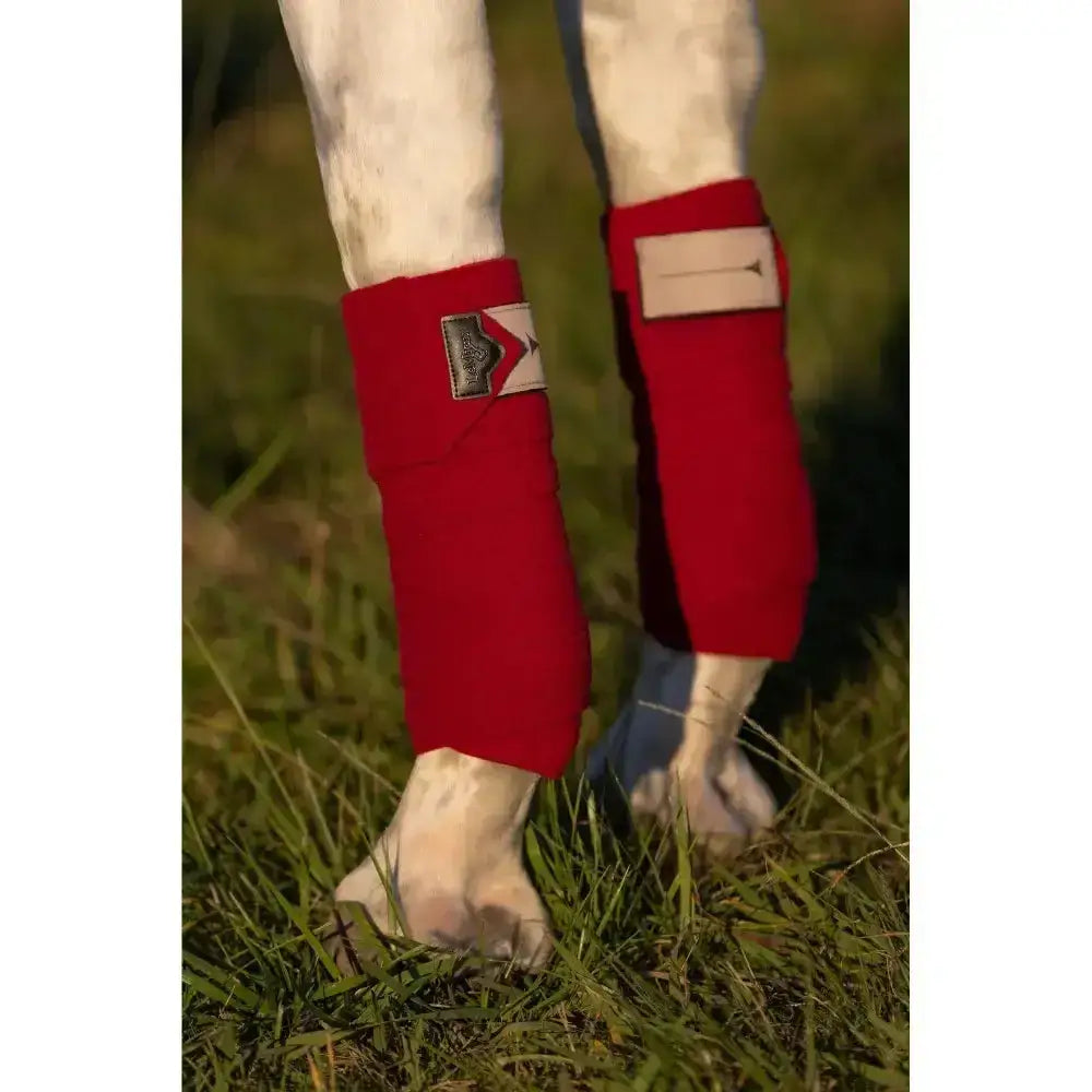 Lemieux Polo Bandages Ember-Leg Bandages-Lemieux-Pony-Ember-Horsey Shopping