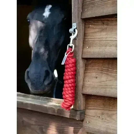 Lemieux Polycotton Leadrope Chilli-Lead Ropes-Lemieux-Chilli-One Size-Horsey Shopping