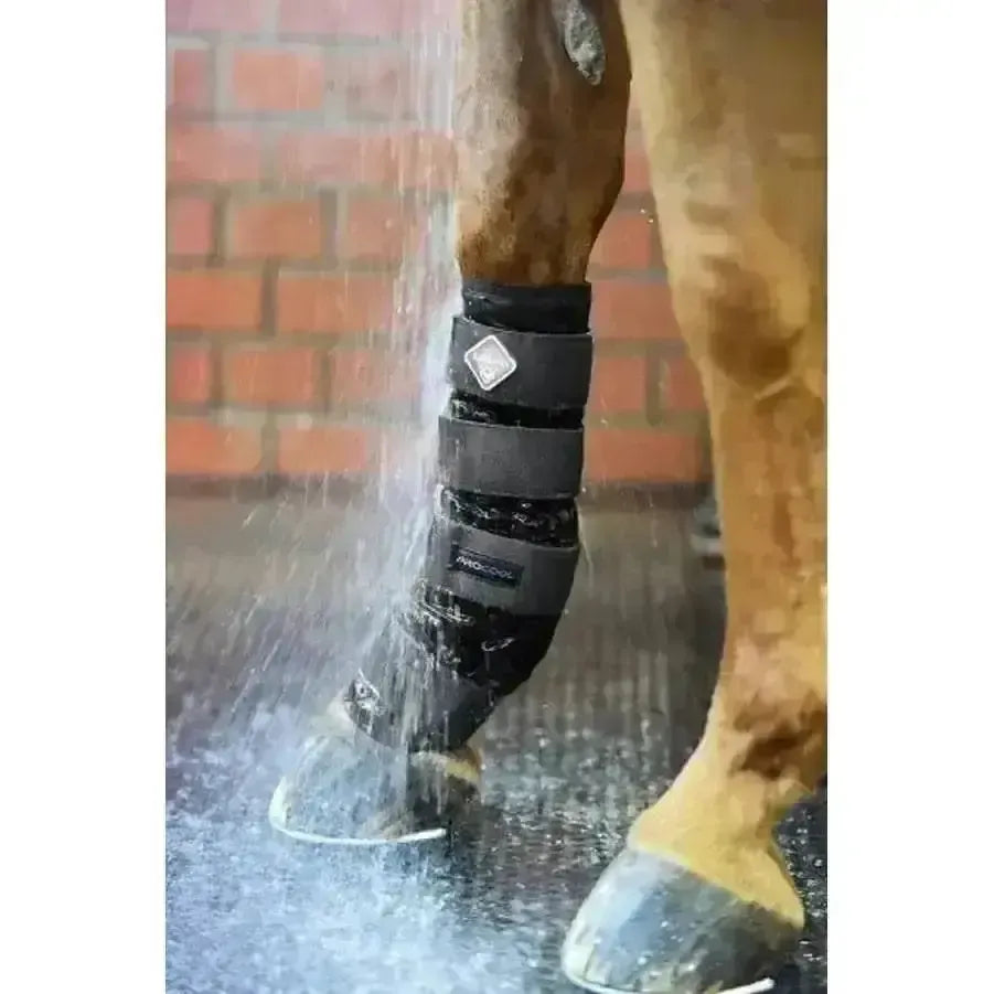 Lemieux ProCool Cold Water Boots-Therapy Boots-Lemieux-Medium-Horsey Shopping