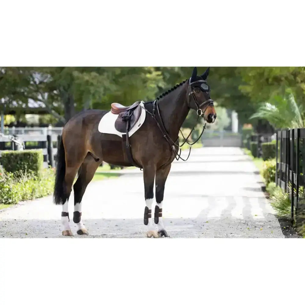 Lemieux ProSorb Plain 2 Pocket Close Contact Square White-Saddle Pads-Lemieux-Large-White-Horsey Shopping