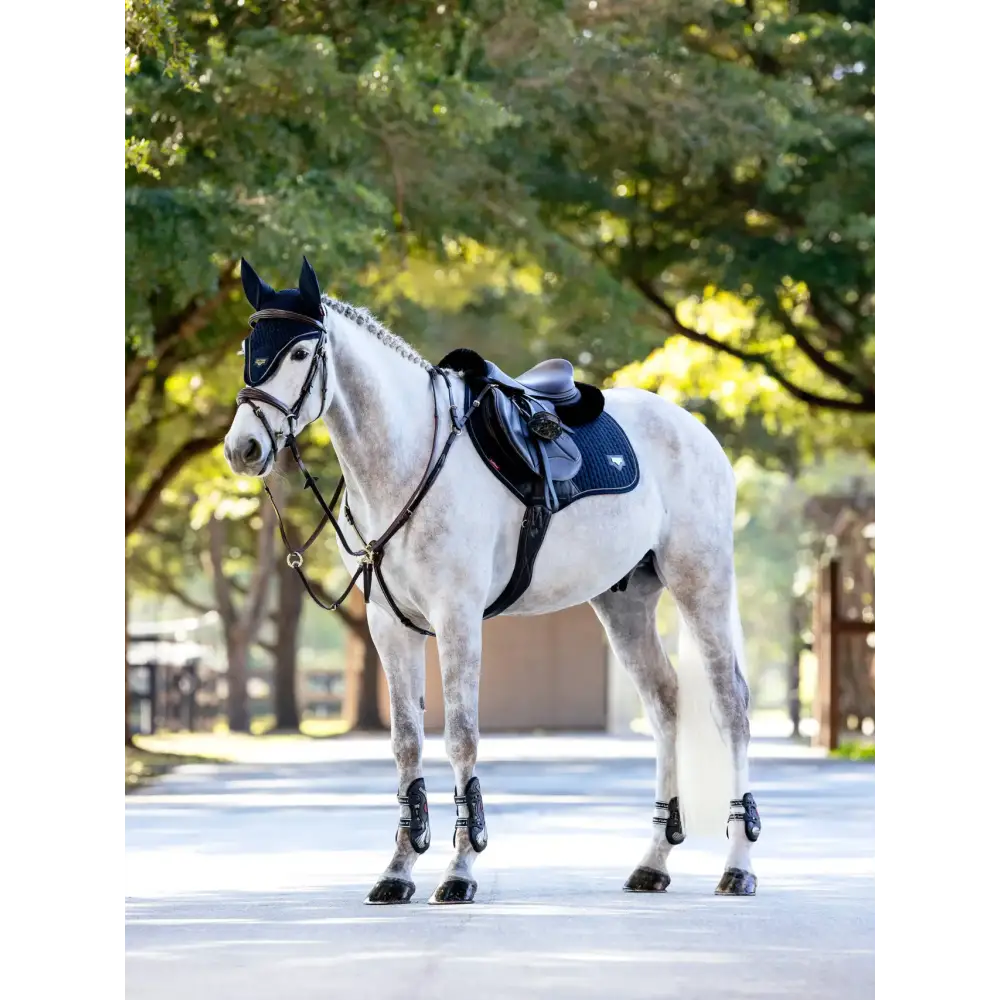Lemieux Puissance Suede CC Pad Navy-Saddle Pads-Lemieux-Navy-Small/Medium-Horsey Shopping