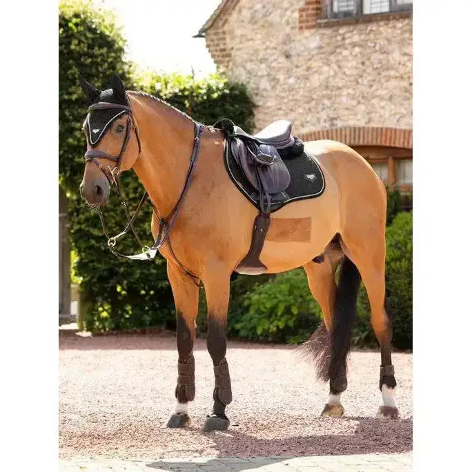 Lemieux Puissance Suede Close Contact Square Black-Saddle Pads-Lemieux-Small/Medium-Black-Horsey Shopping