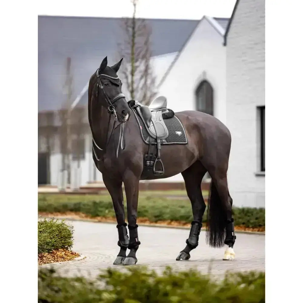 Lemieux Puissance Suede Dressage Square Black-Dressage Saddle Pads-Lemieux-Small/Medium-Black-Horsey Shopping