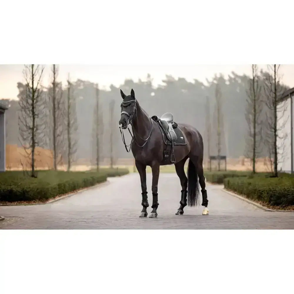 Lemieux Puissance Suede Dressage Square Black-Dressage Saddle Pads-Lemieux-Small/Medium-Black-Horsey Shopping