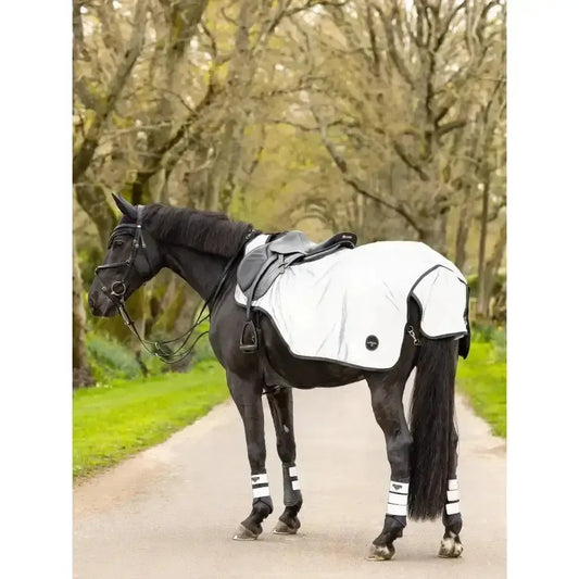 Lemieux Reflective Exercise Sheet-Exercise Sheets-Lemieux-Small-Horsey Shopping