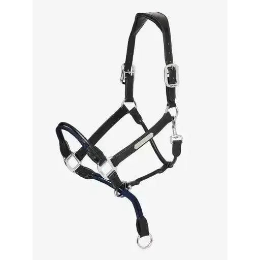 Lemieux Rope Control Headcollar Black-Control Headcollars-Lemieux-Cob-Black-Horsey Shopping