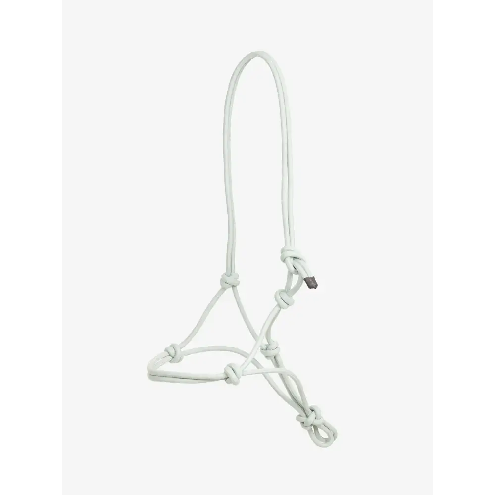 Lemieux Rope Halter Aqua-Rope Headcollars-Lemieux-Aqua-One Size-Horsey Shopping