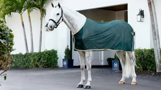 Lemieux Scrim Green-Cooler Rugs-Lemieux-Green-5'6"-Horsey Shopping