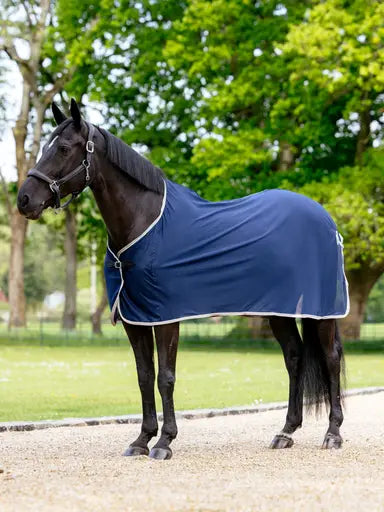 Lemieux Scrim Navy-Cooler Rugs-Lemieux-Navy-5'6"-Horsey Shopping