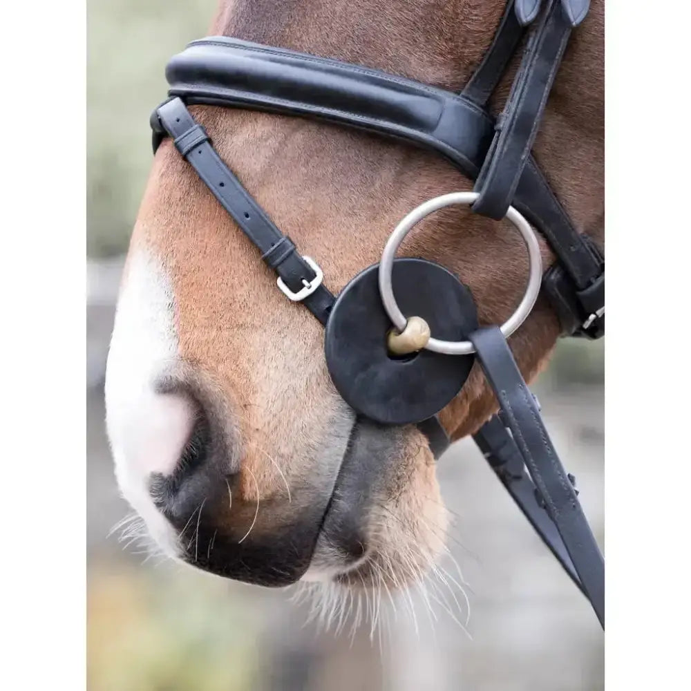 Lemieux Silicone Bit Rings Black-Bit Guards-Lemieux-Horsey Shopping