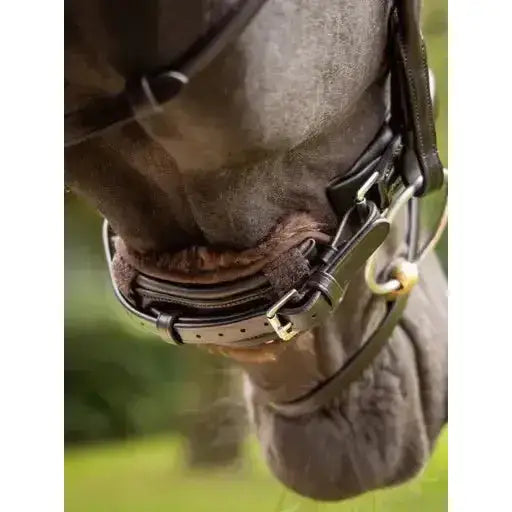 Lemieux Simuwool Chin/ Noseband Guard Brown-Noseband Covers-Lemieux-One Size-Brown-Horsey Shopping